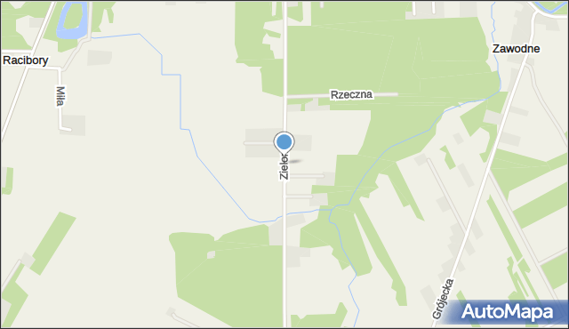 Nowe Racibory gmina Tarczyn, Zielona, mapa Nowe Racibory gmina Tarczyn
