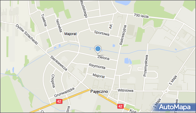 Pajęczno, Zielona, mapa Pajęczno