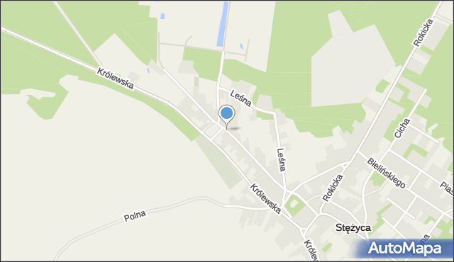 Stężyca powiat rycki, Zielona, mapa Stężyca powiat rycki