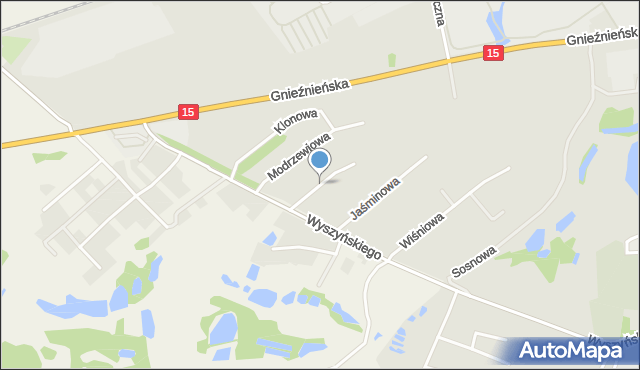 Trzemeszno powiat gnieźnieński, Zielona, mapa Trzemeszno powiat gnieźnieński