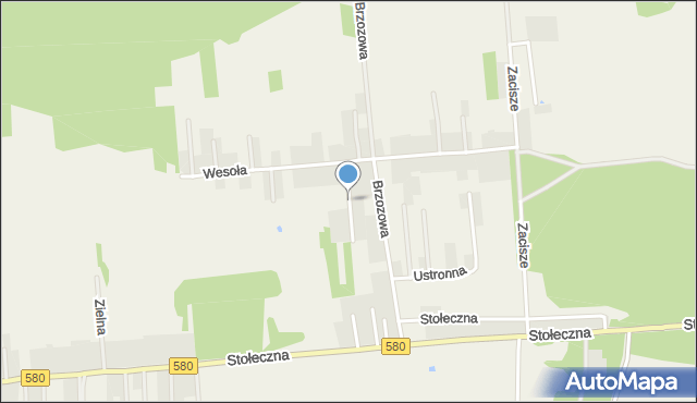 Zaborówek gmina Leszno, Zielona, mapa Zaborówek gmina Leszno