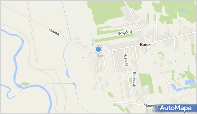 Borek gmina Godziesze Wielkie, Złote Piaski, mapa Borek gmina Godziesze Wielkie