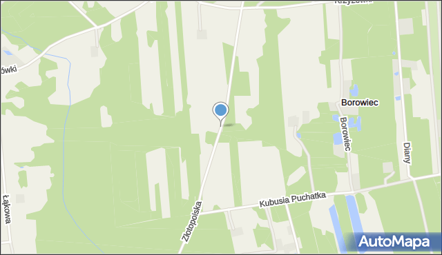Borowiec gmina Tarczyn, Złotopolska, mapa Borowiec gmina Tarczyn
