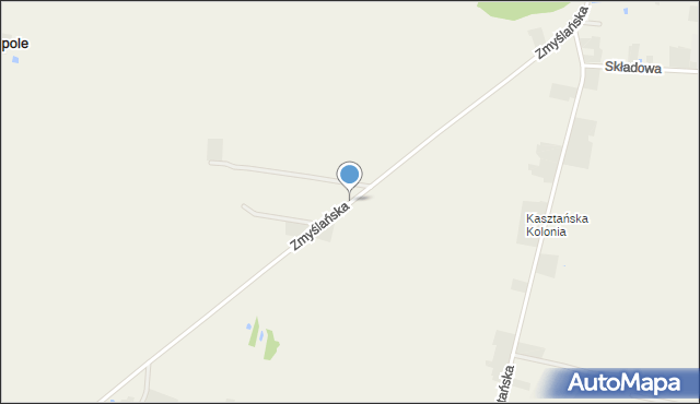 Radoszewice gmina Siemkowice, Zmyślańska, mapa Radoszewice gmina Siemkowice