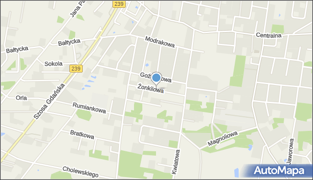 Osielsko, Żonkilowa, mapa Osielsko