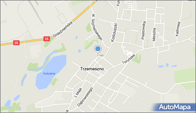 Trzemeszno powiat gnieźnieński, Żółwia, mapa Trzemeszno powiat gnieźnieński