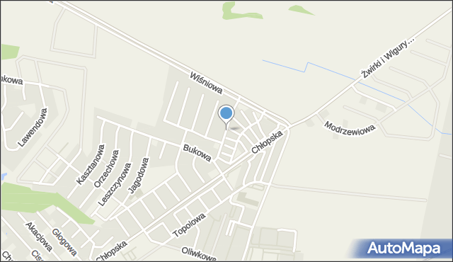 Smolec, Żurawinowa, mapa Smolec