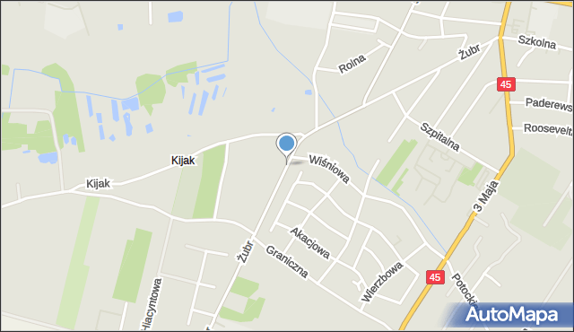 Wieluń, Żubr Joanny, mapa Wieluń