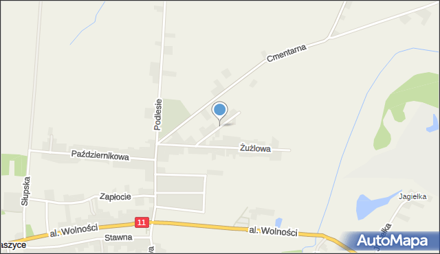 Witaszyce, Żużlowa, mapa Witaszyce