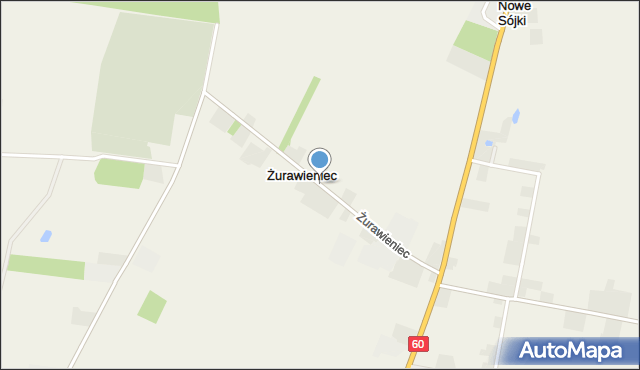 Żurawieniec gmina Kutno, Żurawieniec, mapa Żurawieniec gmina Kutno