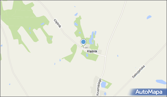 Klęśnik, Żychlińskiego Oskara, mapa Klęśnik