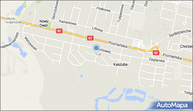 Konin, Zygmunta I Starego, mapa Konina
