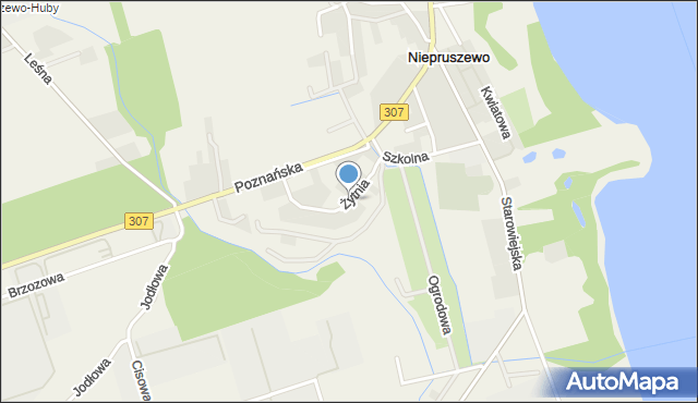 Niepruszewo, Żytnia, mapa Niepruszewo