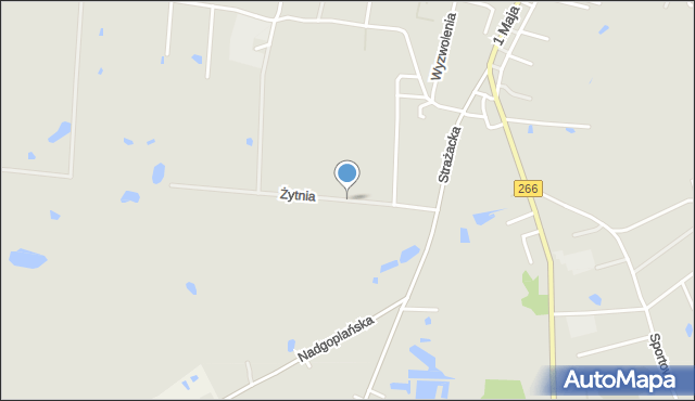 Piotrków Kujawski, Żytnia, mapa Piotrków Kujawski