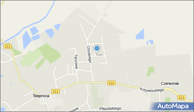 Stepnica, Zygmunta I Starego, mapa Stepnica