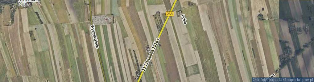 Zdjęcie satelitarne 11 Listopada 1918 Roku ul.