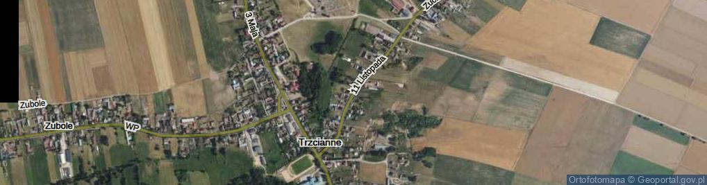 Zdjęcie satelitarne 11 Listopada ul.