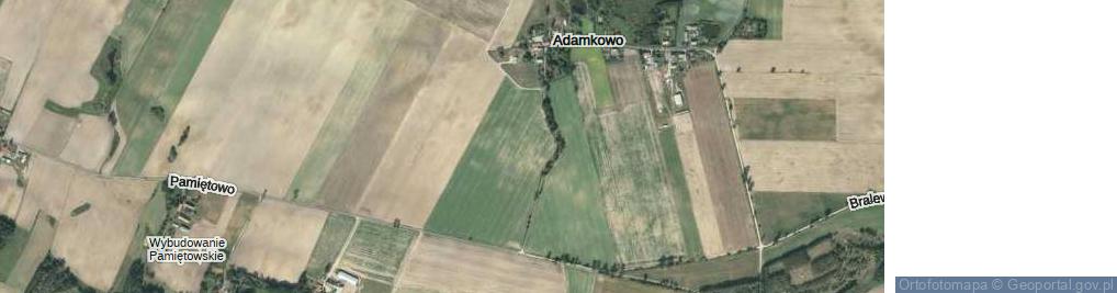 Zdjęcie satelitarne Adamkowo ul.