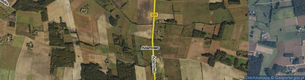 Zdjęcie satelitarne Adamowo ul.