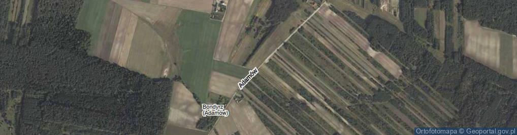 Zdjęcie satelitarne Adamów ul.
