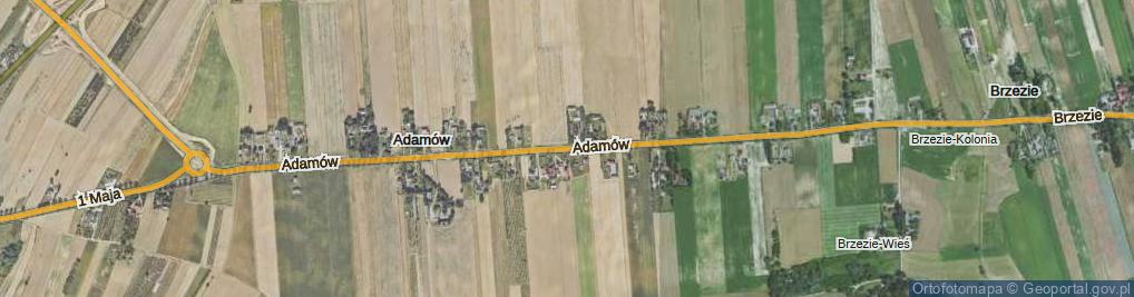 Zdjęcie satelitarne Adamów ul.
