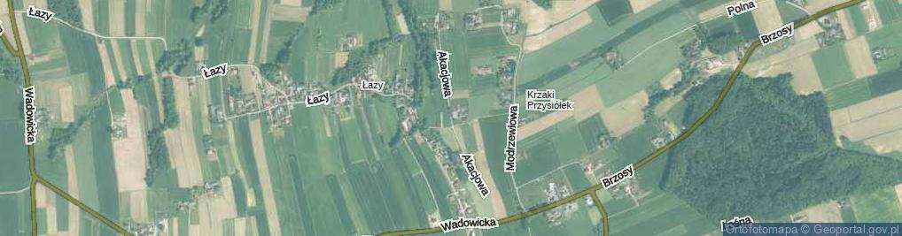 Zdjęcie satelitarne Akacjowa ul.