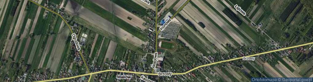 Zdjęcie satelitarne Akacjowa ul.