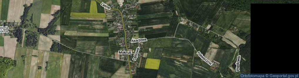 Zdjęcie satelitarne Akacjowa ul.