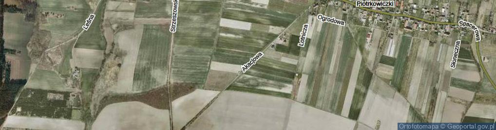 Zdjęcie satelitarne Akacjowa ul.
