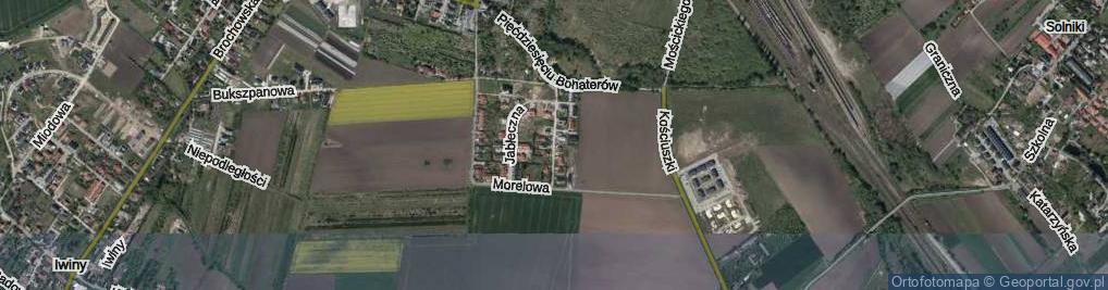 Zdjęcie satelitarne Akacjowa ul.