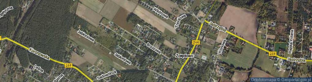 Zdjęcie satelitarne Akacjowa ul.