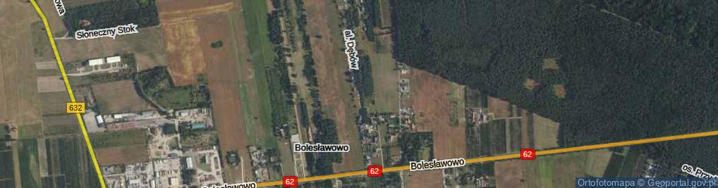 Zdjęcie satelitarne Aleja Dębów al.