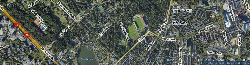Zdjęcie satelitarne Aleja Dojazdowa al.