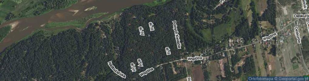 Zdjęcie satelitarne Aleja III al.