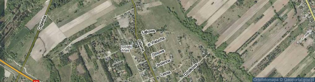 Zdjęcie satelitarne Aleja Palucha Tadeusza al.