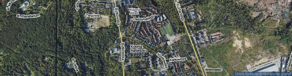 Zdjęcie satelitarne Alfreda ul.