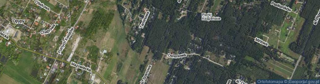 Zdjęcie satelitarne Aleja Sosnowa al.