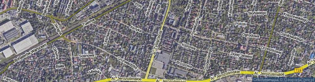 Zdjęcie satelitarne Aleja Tysiąclecia al.