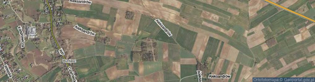 Zdjęcie satelitarne Aleksandrów ul.