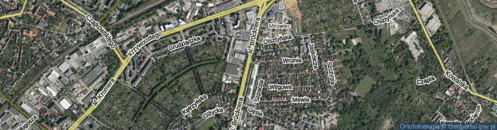 Zdjęcie satelitarne Aleja Brücknera Aleksandra al.