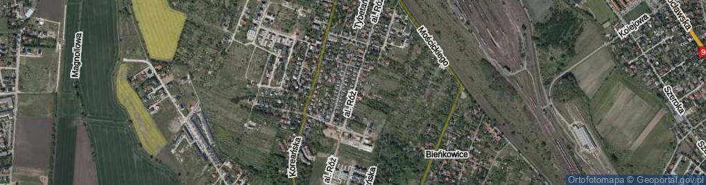 Zdjęcie satelitarne Aleja Róż al.