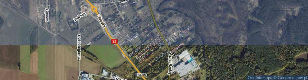 Zdjęcie satelitarne Aleja Różana al.