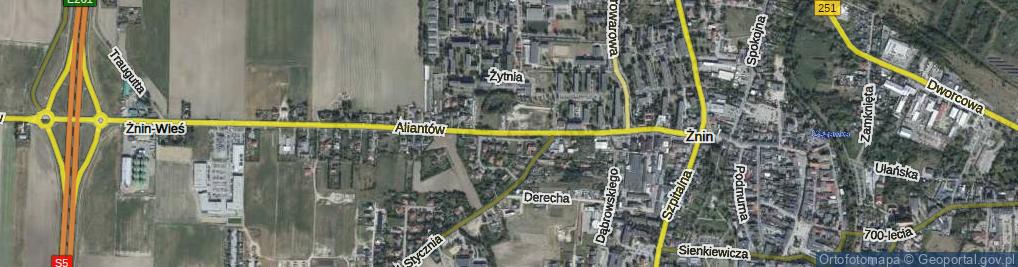 Zdjęcie satelitarne Aliantów ul.