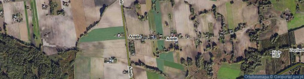 Zdjęcie satelitarne Anielin ul.
