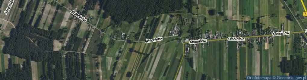 Zdjęcie satelitarne Antoninów ul.
