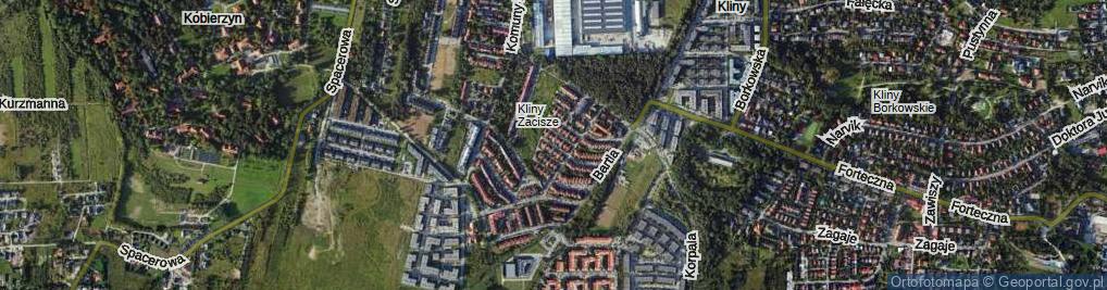 Zdjęcie satelitarne Anusi ul.