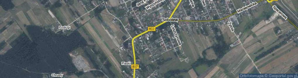 Zdjęcie satelitarne Antenowa ul.