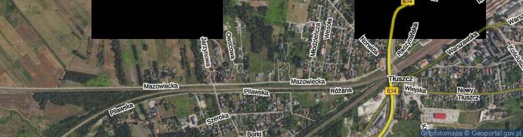 Zdjęcie satelitarne Ananasowa ul.