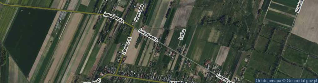Zdjęcie satelitarne Antoniowska ul.