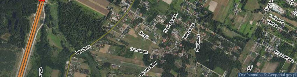 Zdjęcie satelitarne Aronii ul.